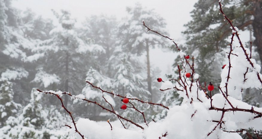 Rain, hail forecasted in some districts tomorrow