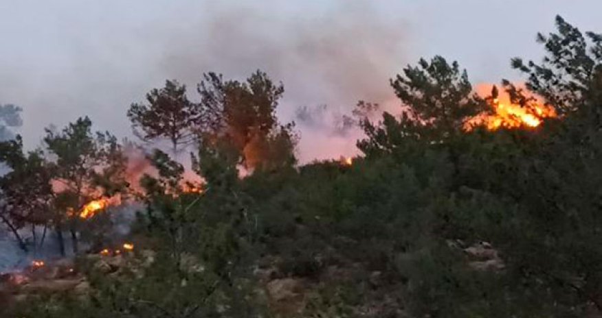 Türkiyənin qərbində meşə yanğını başlayıb