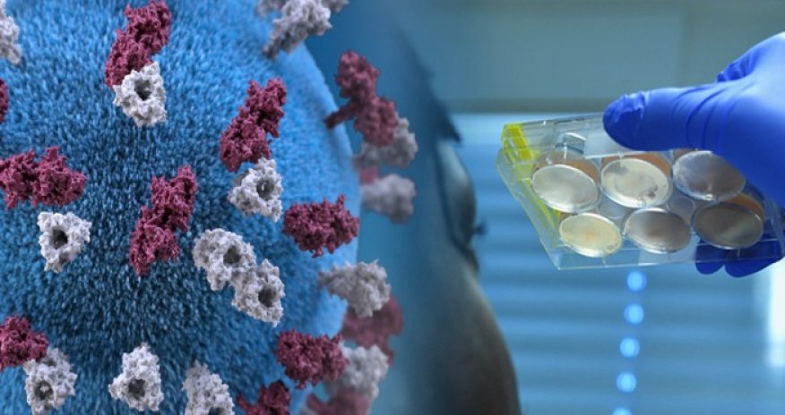 İranda koronavirusdan 140 mindən çox insan ÖLÜB