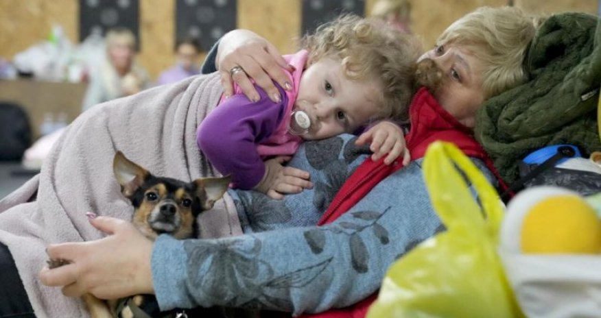 Ukrayna qaçqınlarının 90% qadın və uşaqlardır