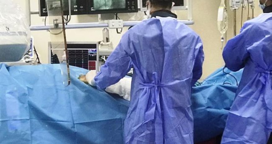 Xəstəyə inəyin ürək klapanları köçürüldü - Elmdə ilk