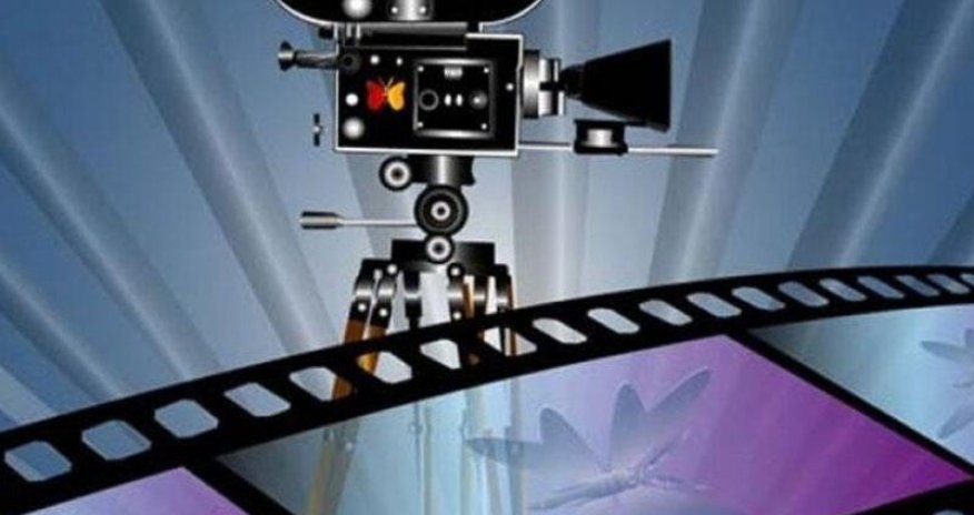 Yeni yaradılan kino agentliyi milli kinomuza nə verəcək?