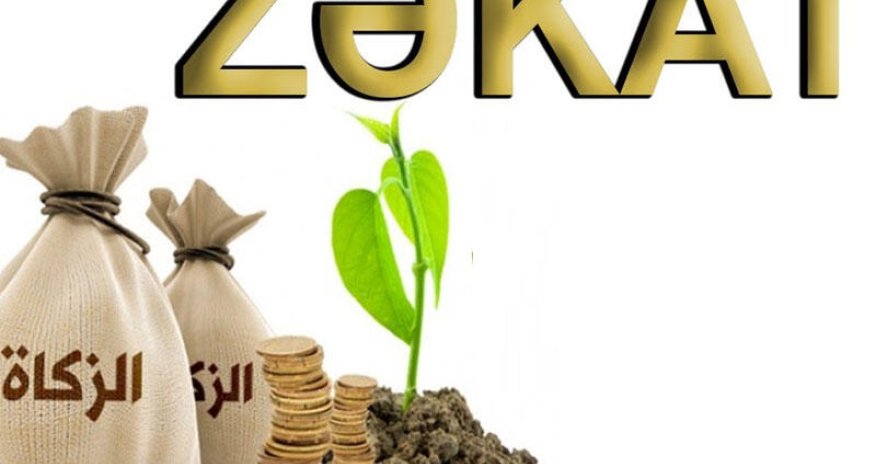 Fitrə zəkatı nə qədər verilməlidir?- VİDEO