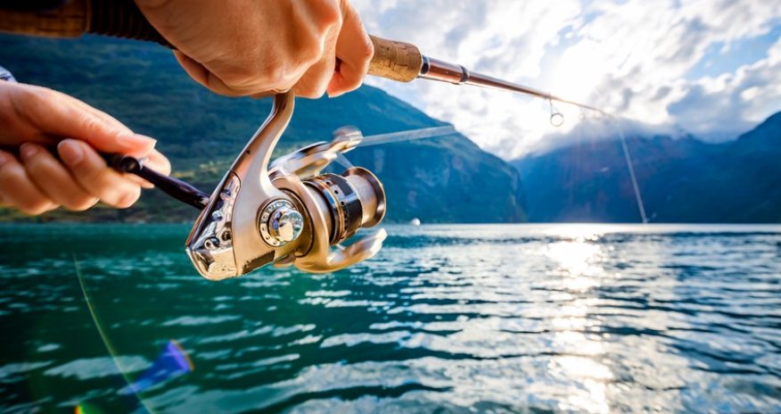 Azerbaijan introduces moratorium on fishing from May 1