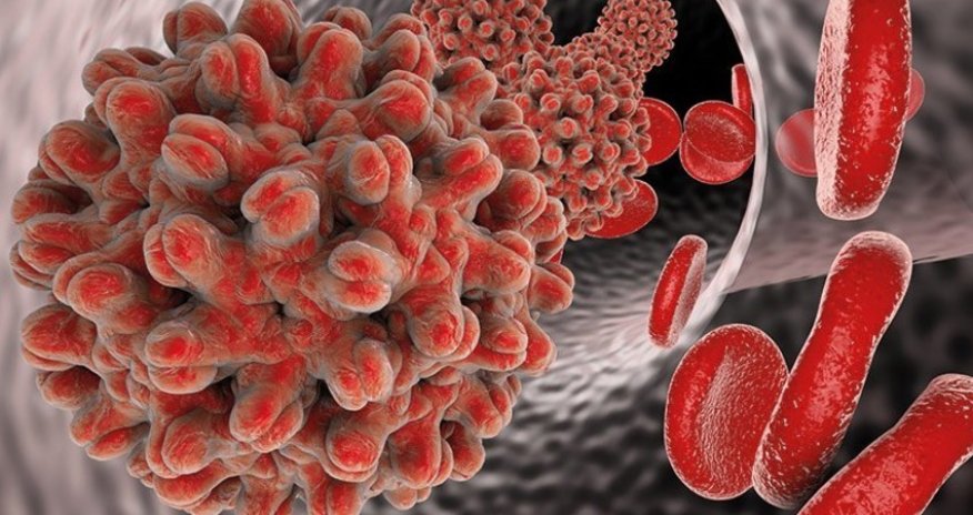 Several countries report hepatitis of unknown origin in children