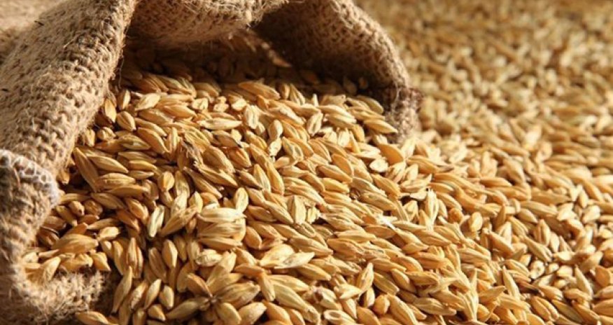 4,5 milyon ton taxıl Ukrayna limanlarında qalıb