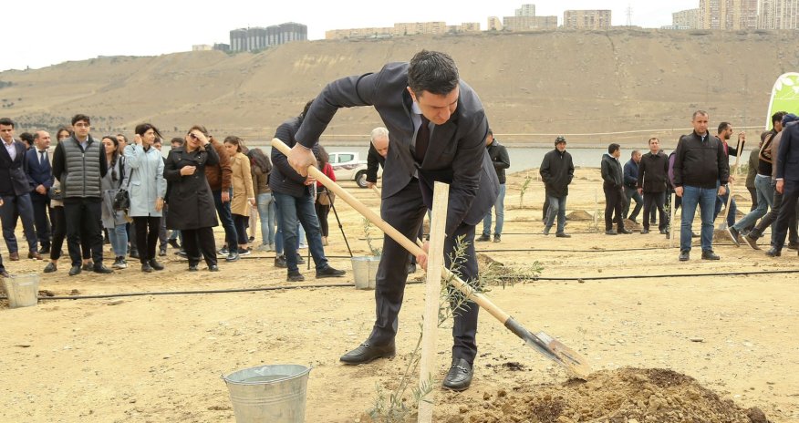 Ağacəkmə aksiyası keçirilib 