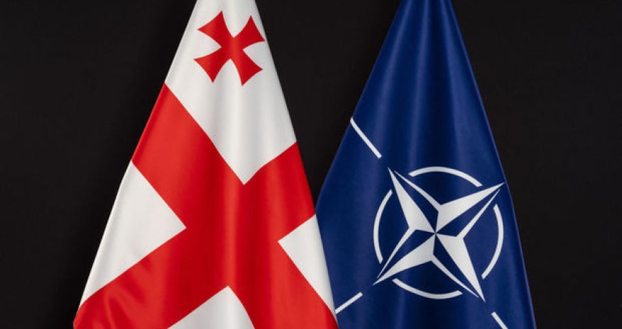Gürcüstan NATO sammitinə dəvət olunacaq