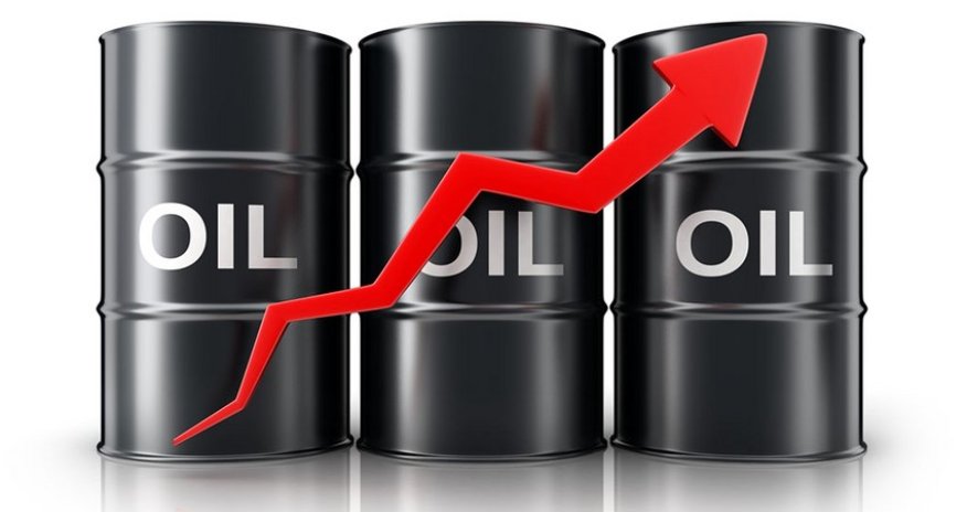 Azerbaijani oil price settles above $123