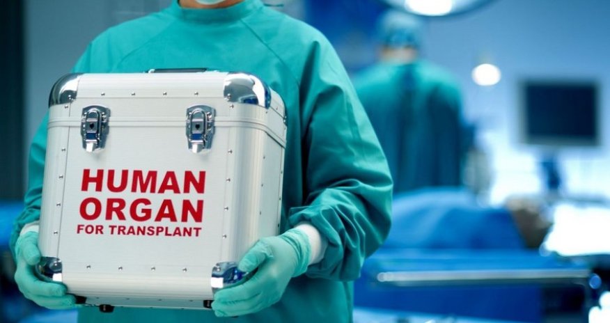 Azərbaycanda donor bankı yaradılıb
