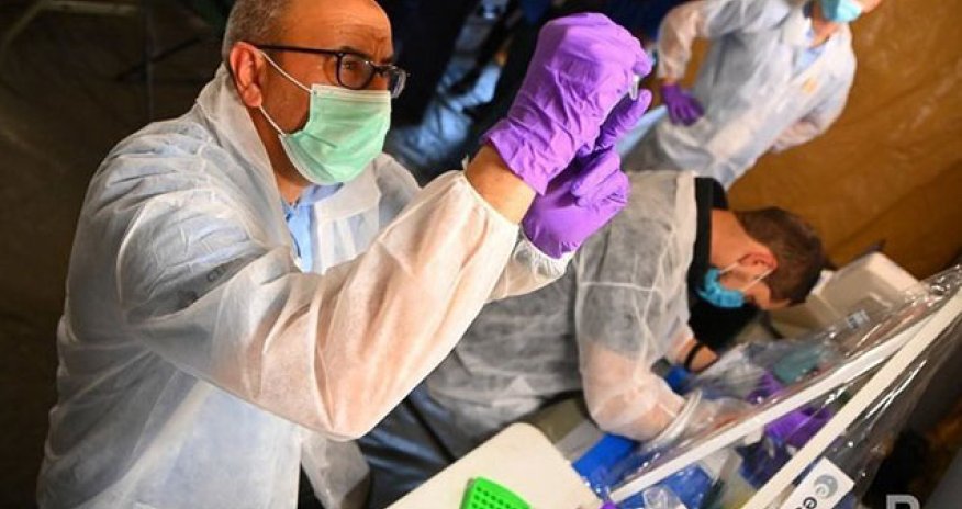 Bu ölkədə “Meymun çiçəyi”nə yoluxanların sayı 20-yə çatıb