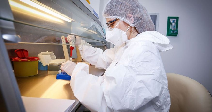 Almaniyada meymunçiçəyinə yoluxanlar karantinə alınacaq