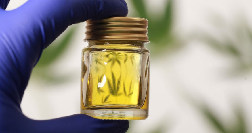 Vladimir vilayətində texniki çətənə yetişdirilməsinə 800 milyon rubl sərmayə qoyulacaq