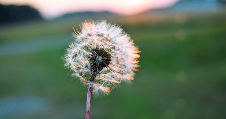 Weather temperature to reach 27C tomorrow