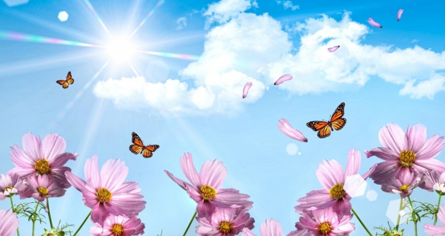 Weather temperature to reach 29 C tomorrow