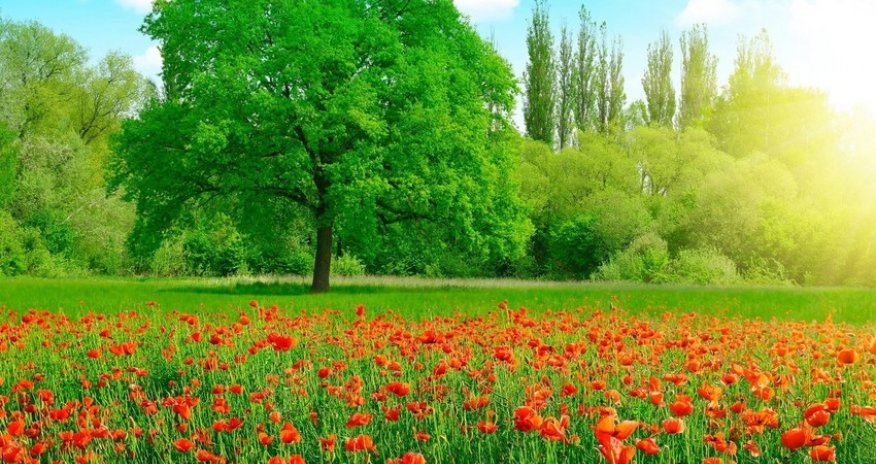 Weather temperature to reach 33 C in Azerbaijan tomorrow