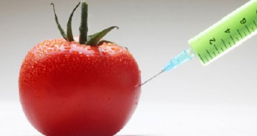 Azərbaycanda GMO məhsullarının siyahısı hazırlanacaq