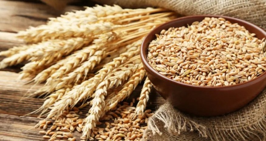 Gürcüstan buğda ixracına qadağa qoyur