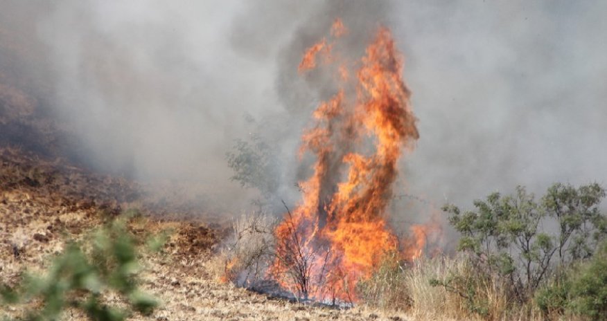 Antalyada meşə yanğını başlayıb