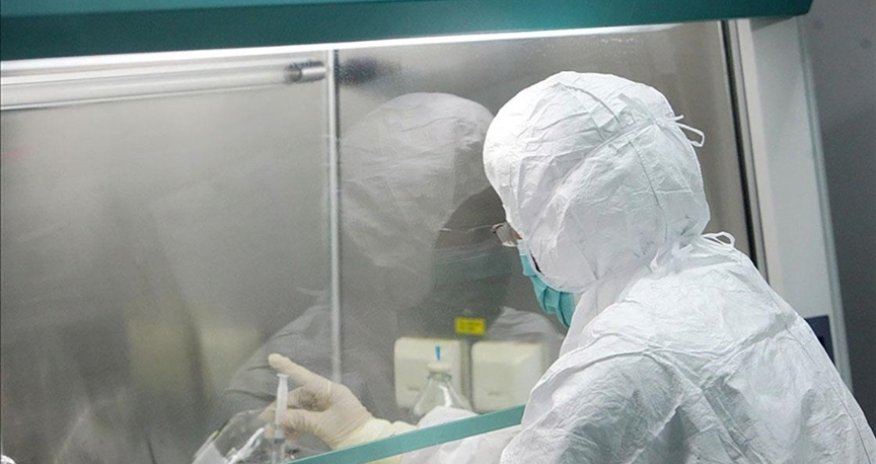 Daha bir ölkədə meymunçiçəyi aşkarlandı