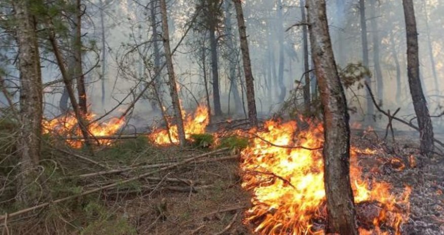 Muğlada meşə yanğını başlayıb, helikopterlər cəlb olunub