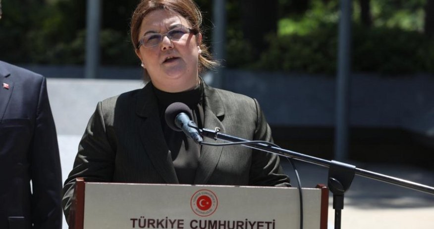 Turkish minister: Turkiye-Azerbaijan brotherhood is example for whole world