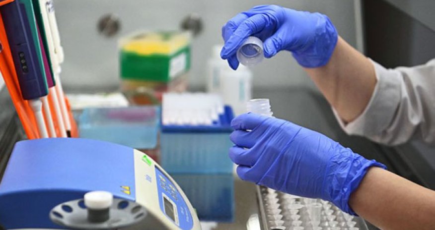 ÜST Avropada yeni koronavirus dalğası elan etdi