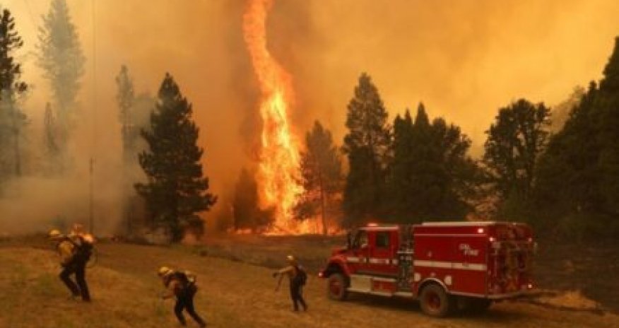 Güclü meşə yanğınları - 6 min nəfər təxliyə edildi