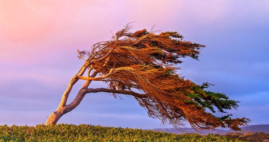 Strong wind expected in Baku