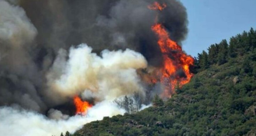 Türkiyədə meşə yanır