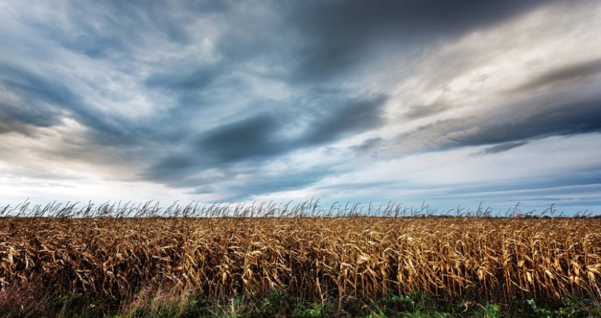 Weather forecast for August 6 announced