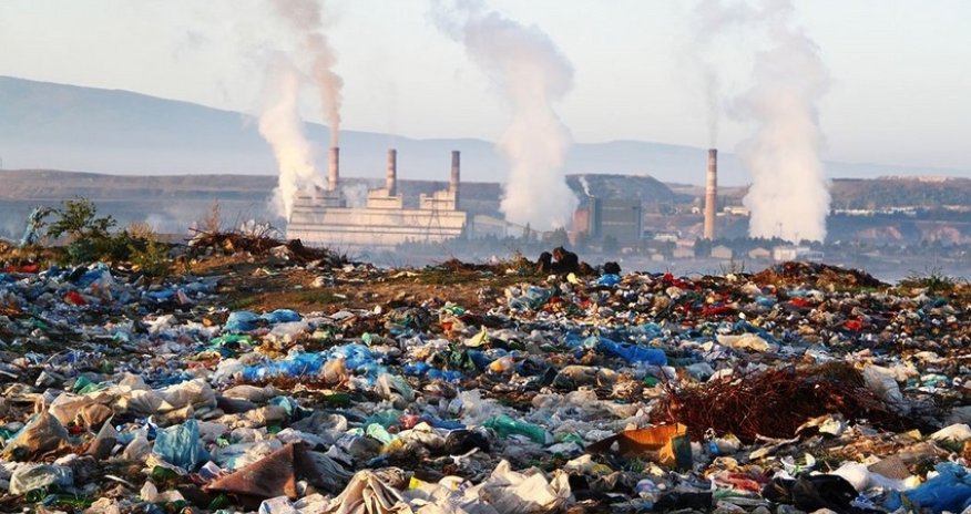 Ermənistanda ekoloji fəlakət: heyvanlar kütləvi şəkildə məhv olur