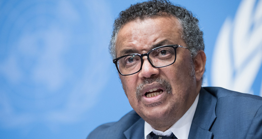 Ümumdünya Səhiyyə Təşkilatına terrorçu rəhbərlik edir? - İDDİA + RƏSMİ MÖVQE