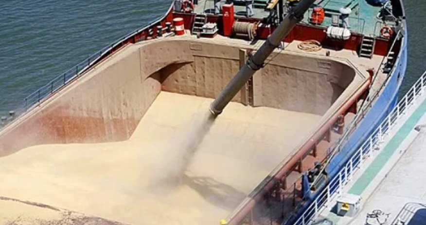 Ukrayna taxılını daşıyan gəmi marşrutunu dəyişdi