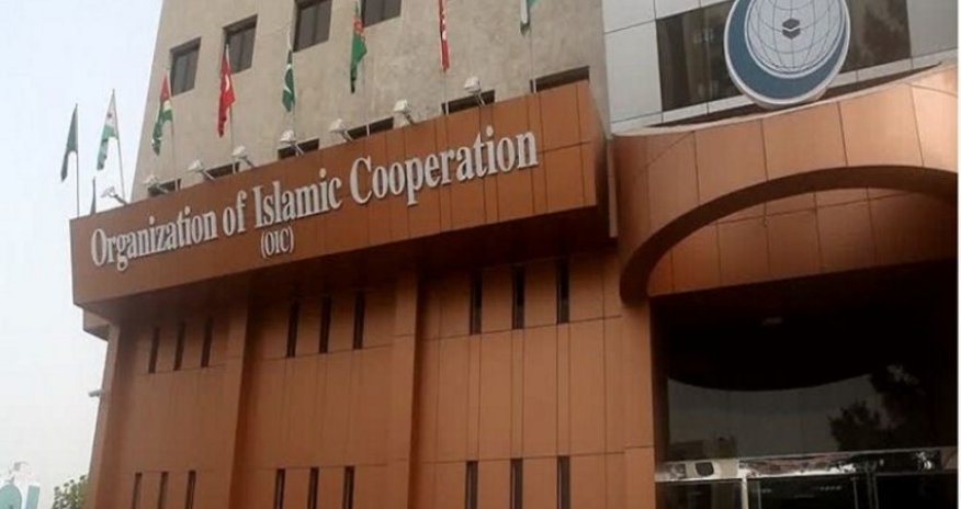 İƏT Azərbaycanın Londondakı səfirliyinə hücumu pisləyib