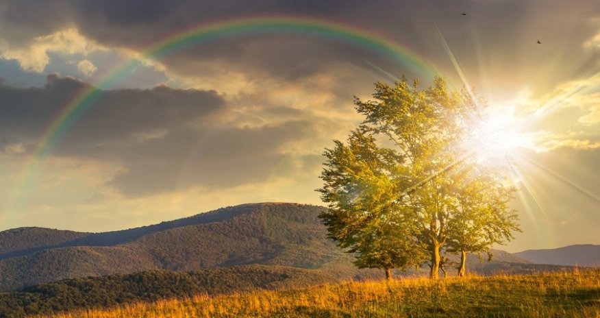 Weather forecast for August 25 announced