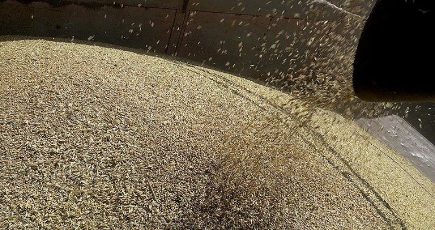 Bu ölkə Rusiyadan 500 min ton buğda alacaq