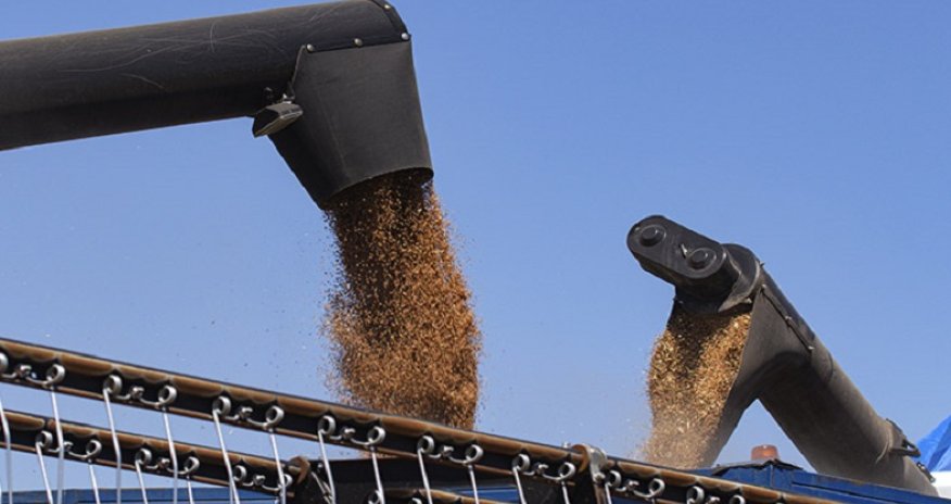 Taxıl ixracı yoxsul ölkələrə nəzərdə tutulduğu kimi çatmır- PUTİN