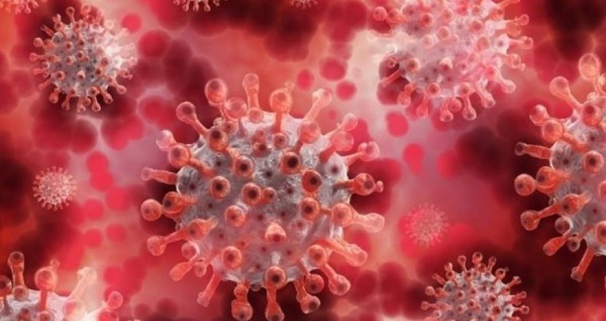 Meymunçiçəyi bu ölkəyə də çatdı