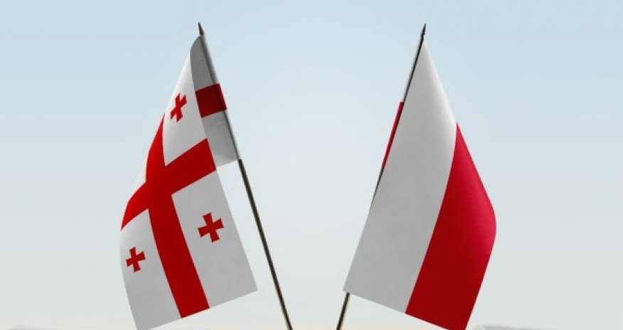 Gürcüstan və Polşa birgə PUA istehsal edəcək