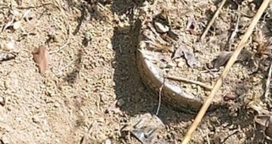 Five Armenian-made PMN-Э mines found in Khojaly