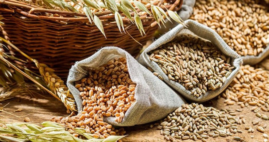 Belarus taxıl ixracına qoyulan qadağanı altı ay uzadıb