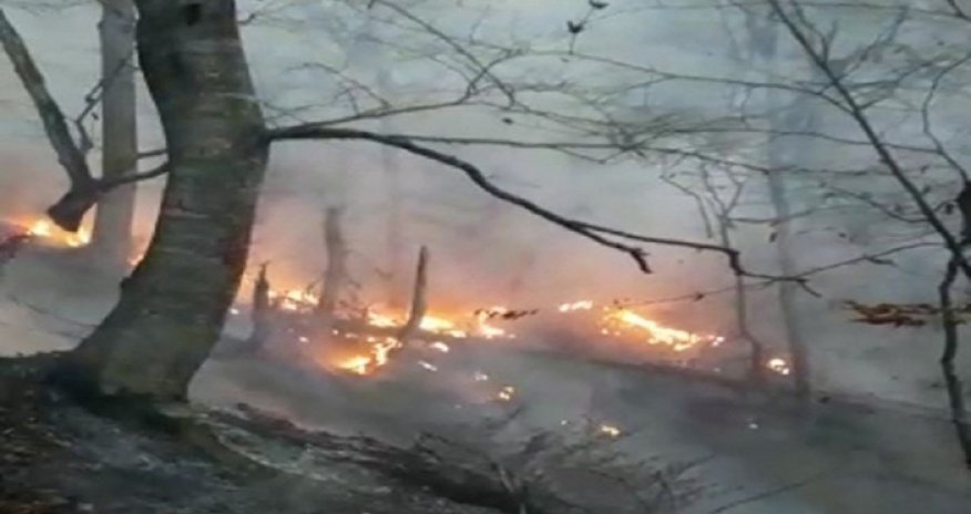 Azərbaycana 16 milyard manatdan çox ekoloji ziyan vurub