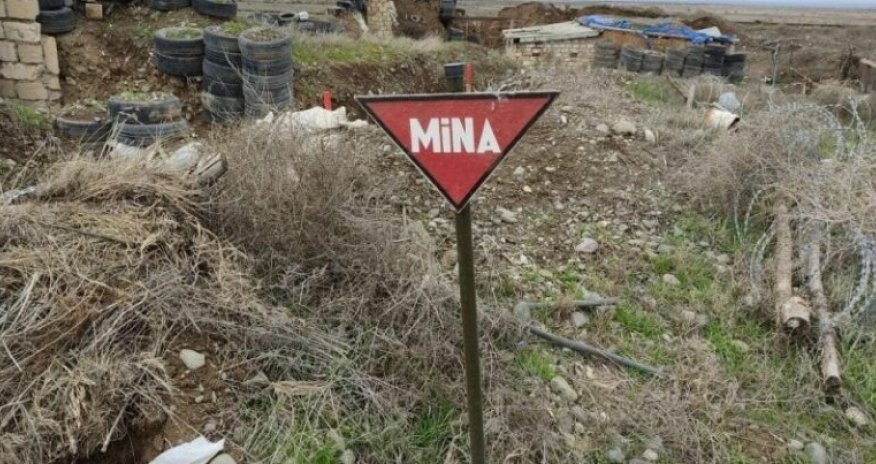 Another 144 mines found in liberated territories of Azerbaijan