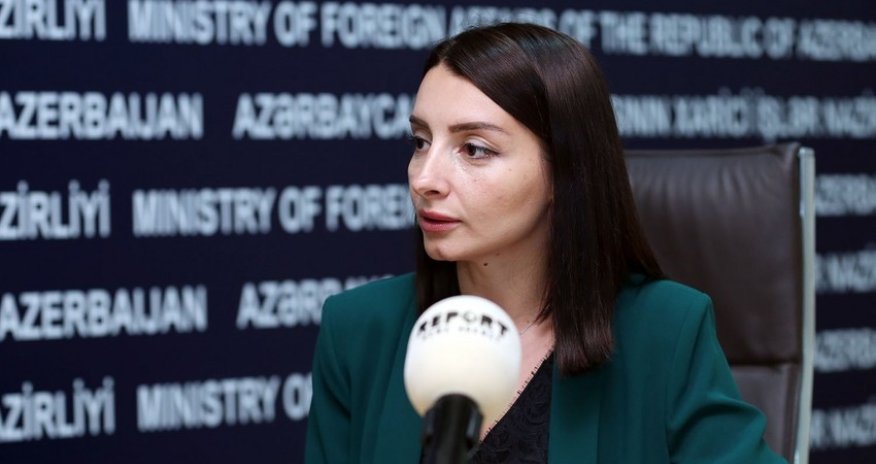 Leyla Abdullayeva Fransaya səfir göndərildi - SƏRƏNCAM