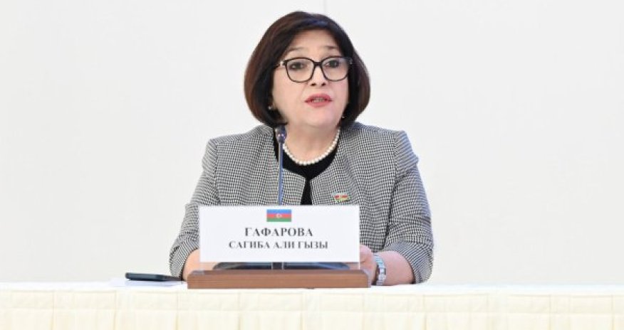 Sahibə Qafarova MDB PA-nın mətbuat konfransına qatılıb