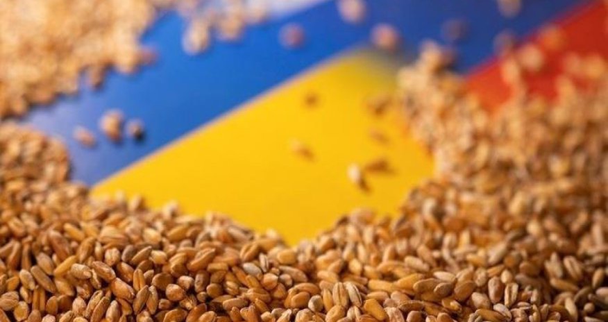 Fransa Ukrayna taxılının quru yolu ilə ixracı üçün yeni təkliflər hazırlayır