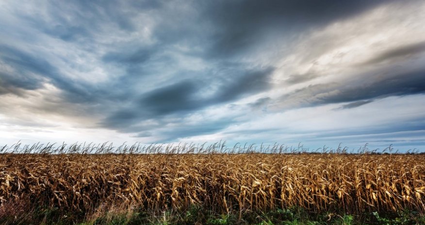 Weather forecast for tomorrow announced