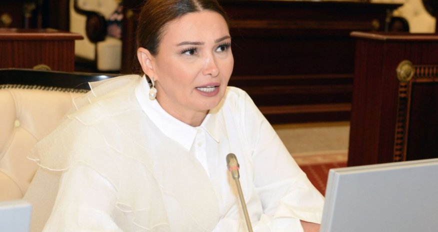 Dövlət Proqramlarının nəticələri  qiymətləndirilməlidir - millət vəkili