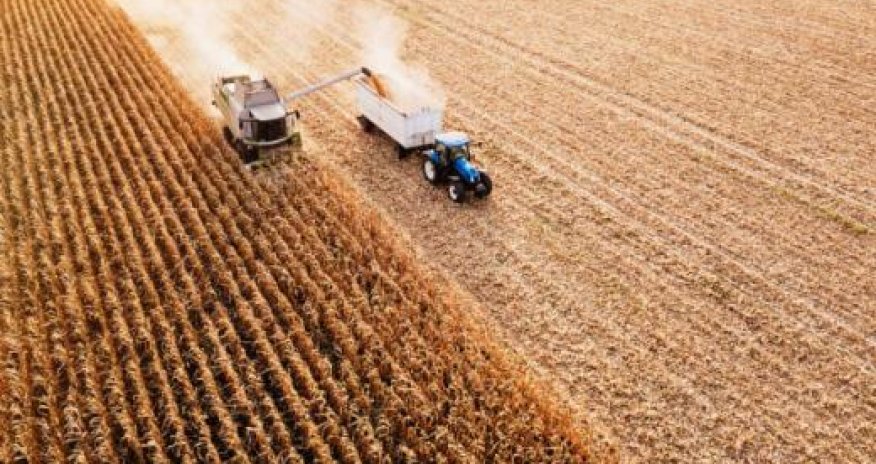 Азербайджан за 10 мес. увеличил производство продукции АПК на 3,2%